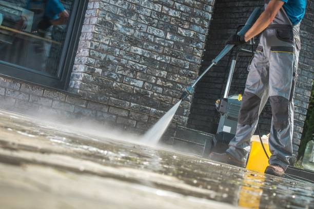 Best Animal Enclosure Cleaning  in Maitland, FL